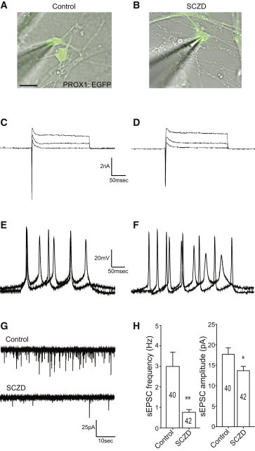 Figure 7