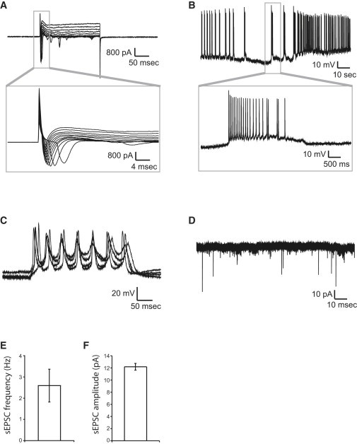 Figure 3