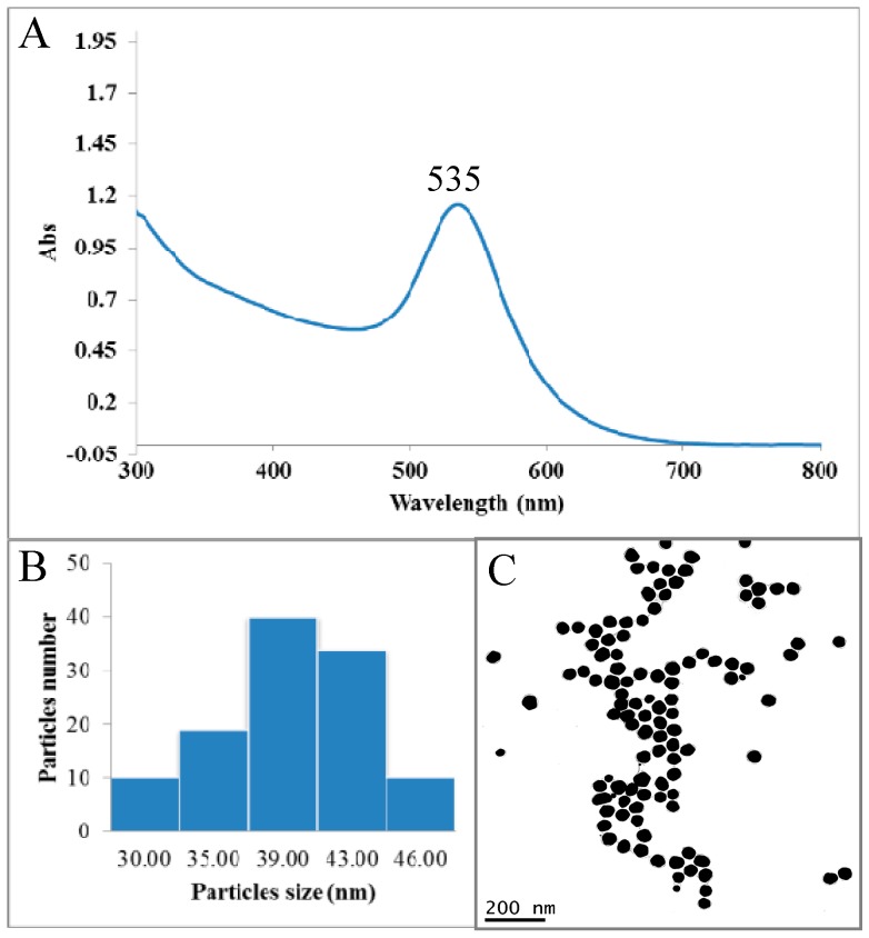 Figure 1