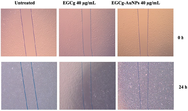 Figure 10