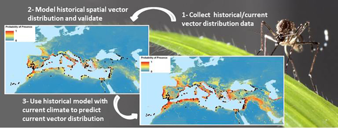 Unlabelled Image