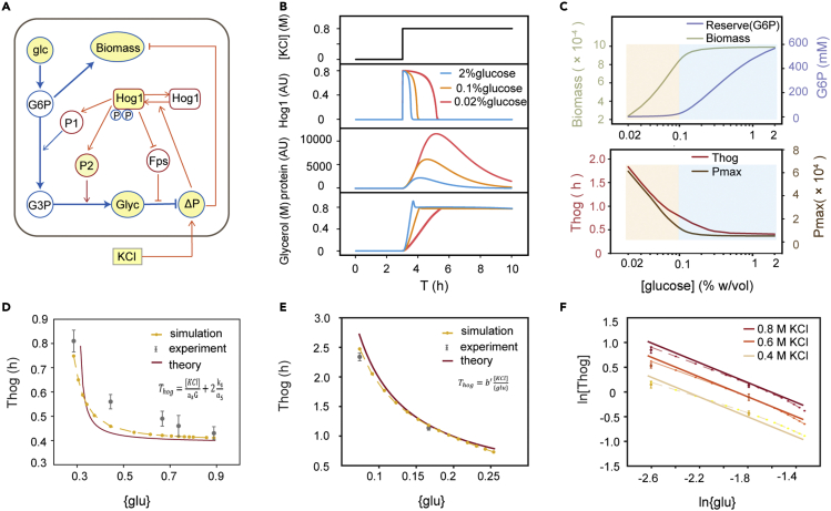 Figure 4