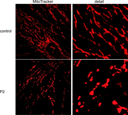 Figure 10.