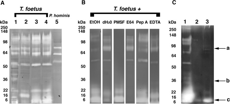 FIG 5