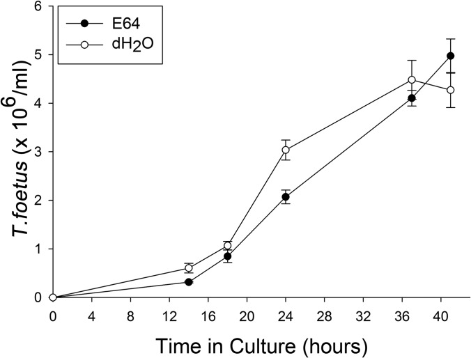 FIG 6