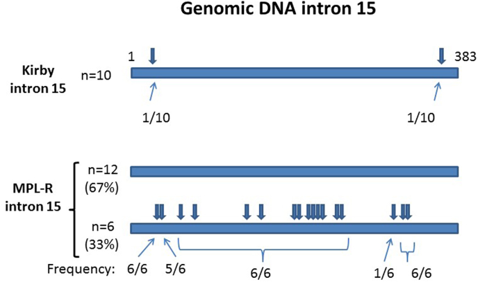 Fig. 2