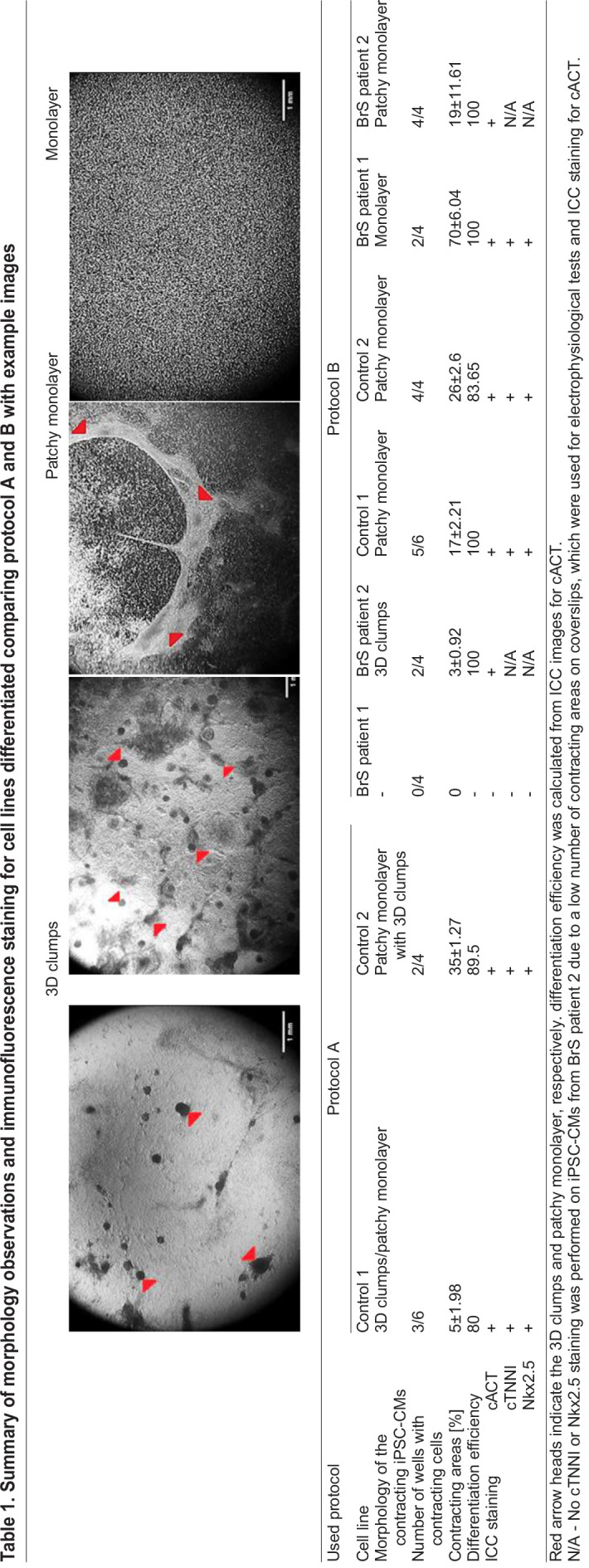 graphic file with name biolopen-11-059016-i1.jpg