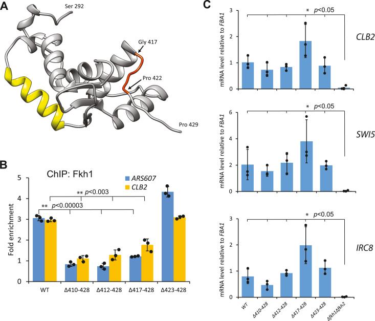 Figure 4