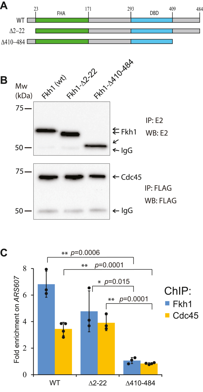 Figure 2