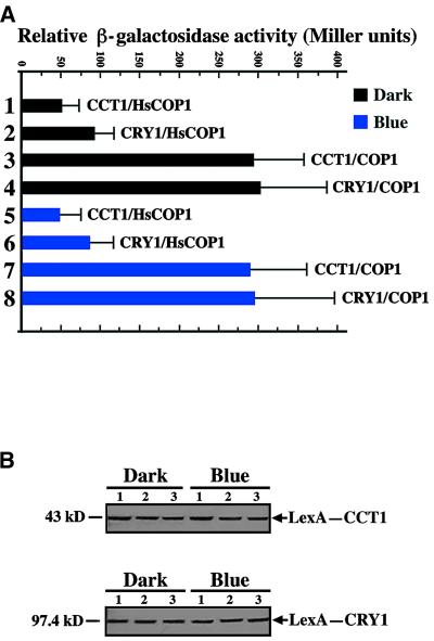 Figure 5.