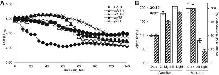 Figure 4