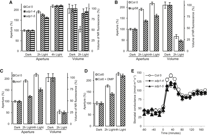 Figure 3