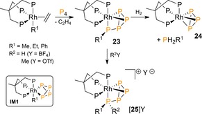 Scheme 9