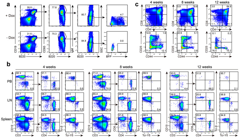 Figure 6.