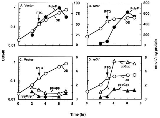 FIG. 7