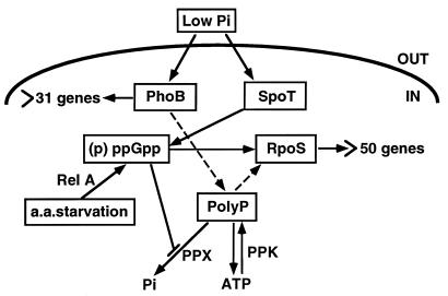 FIG. 8