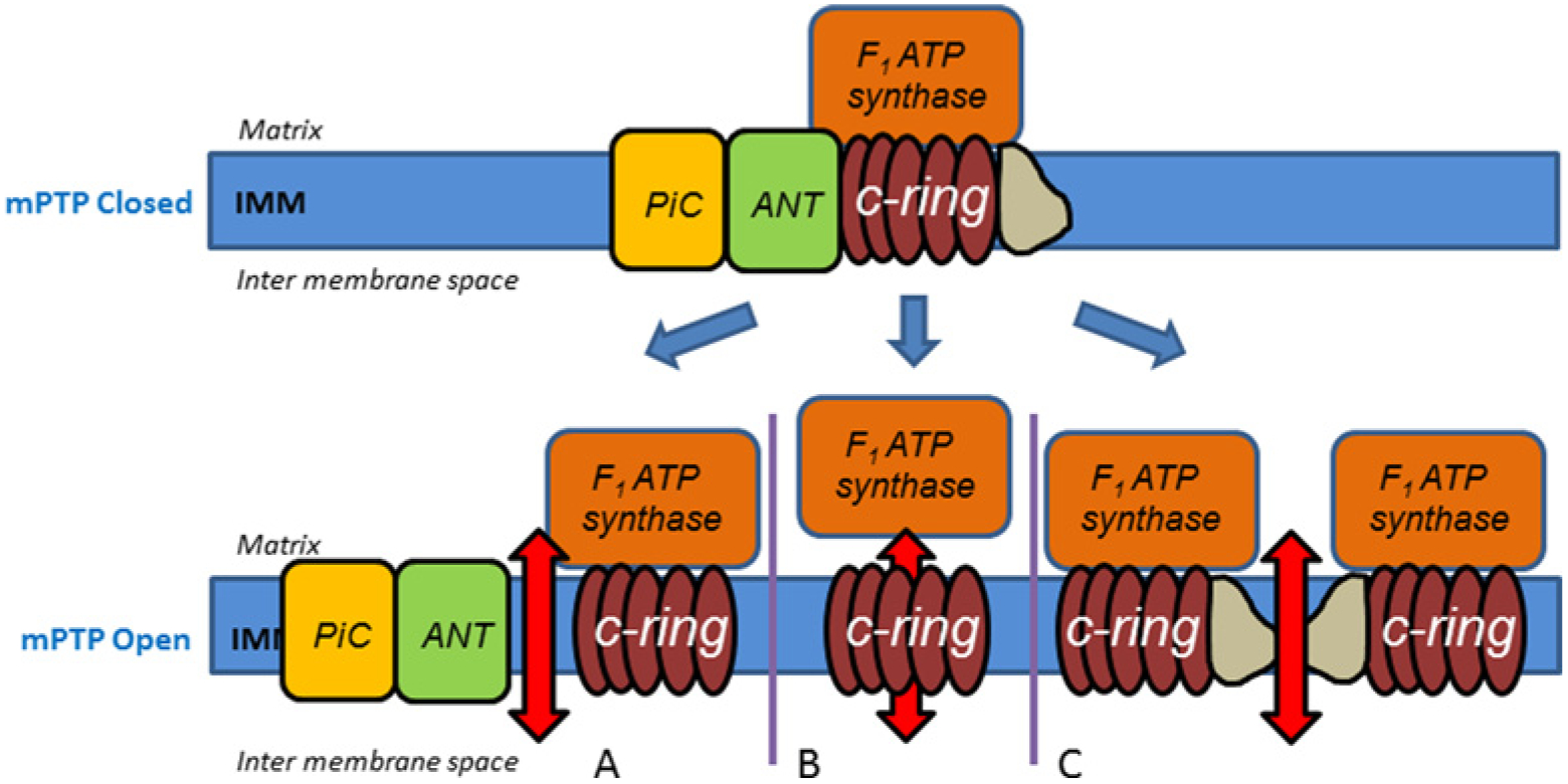 Figure 1 |