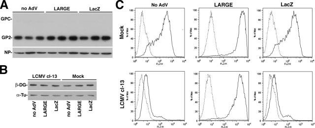 Figure 10.