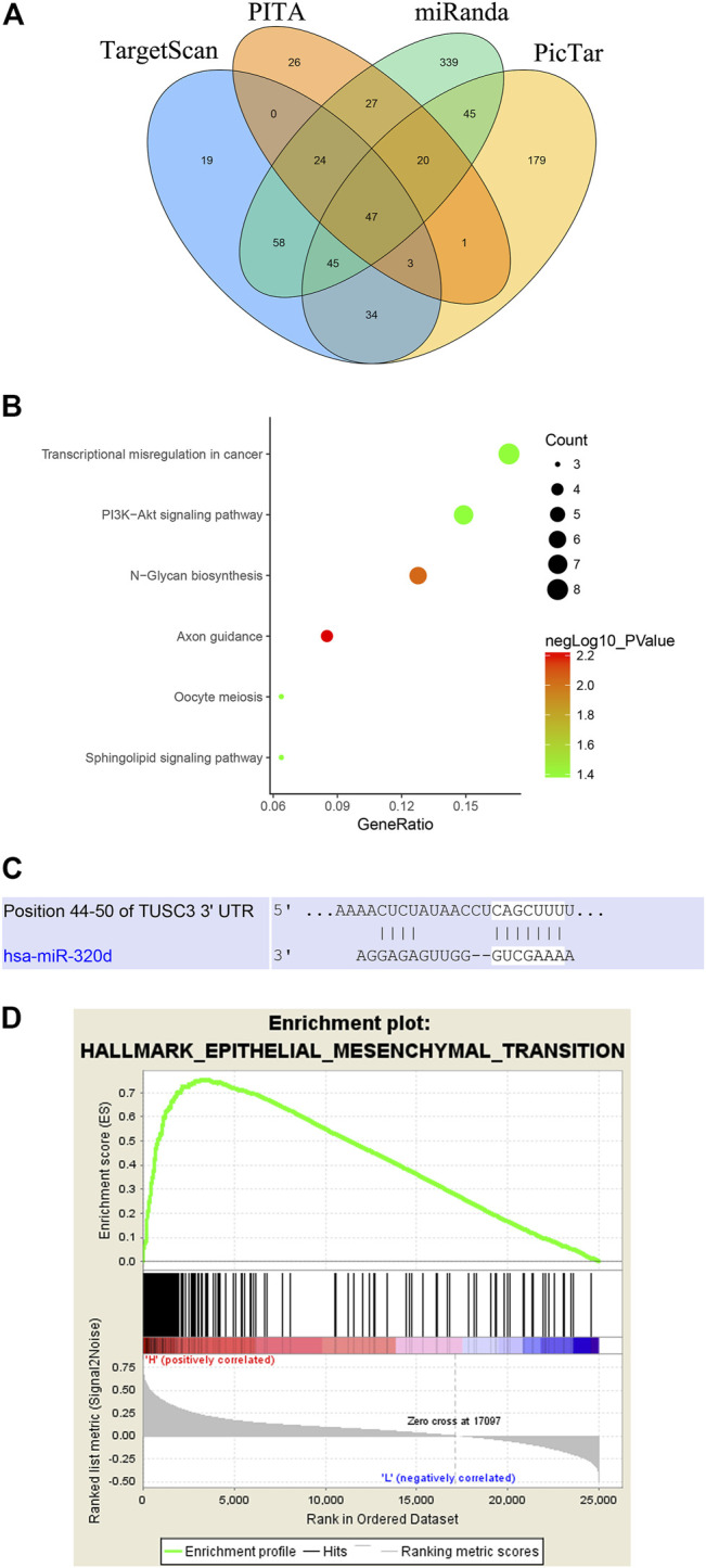 FIGURE2