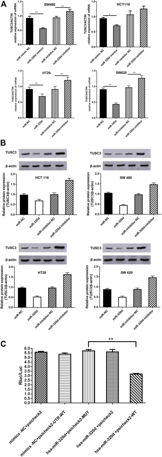 FIGURE4