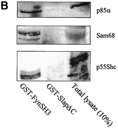 FIG. 8