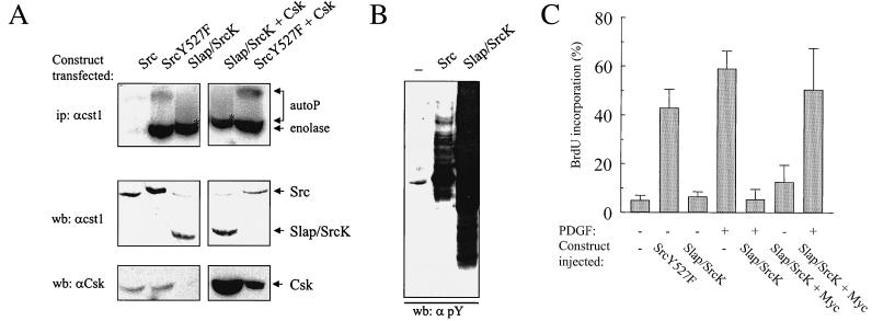 FIG. 9