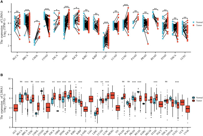 Figure 3