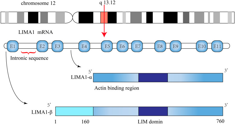 Figure 1