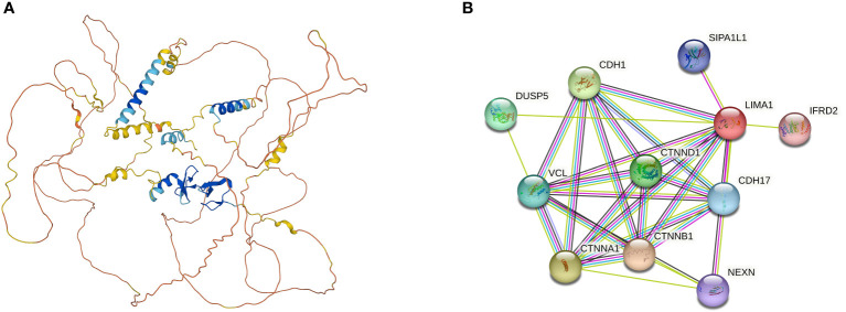 Figure 2