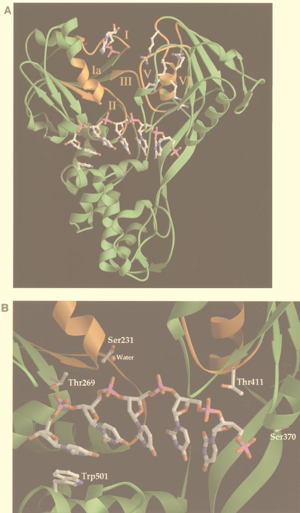 FIG. 3