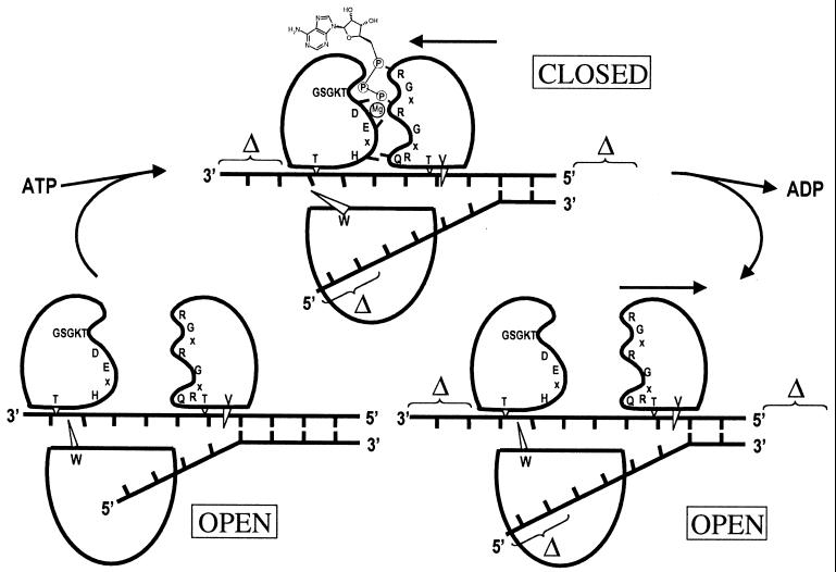 FIG. 5