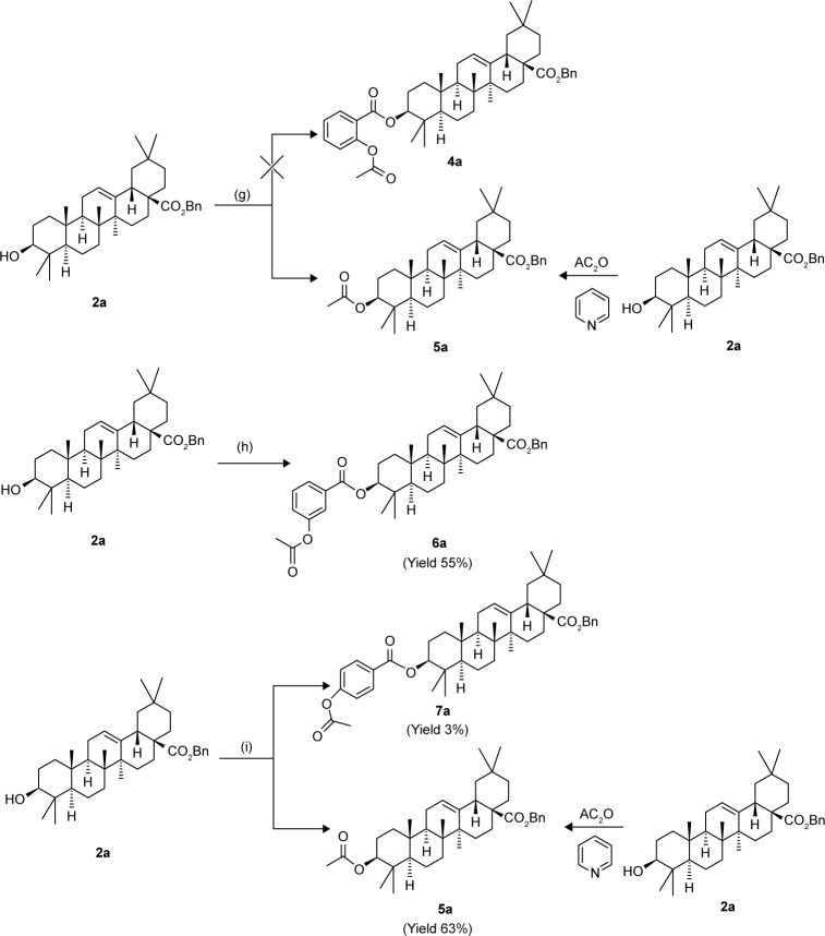 Scheme 3