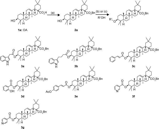 Scheme 1