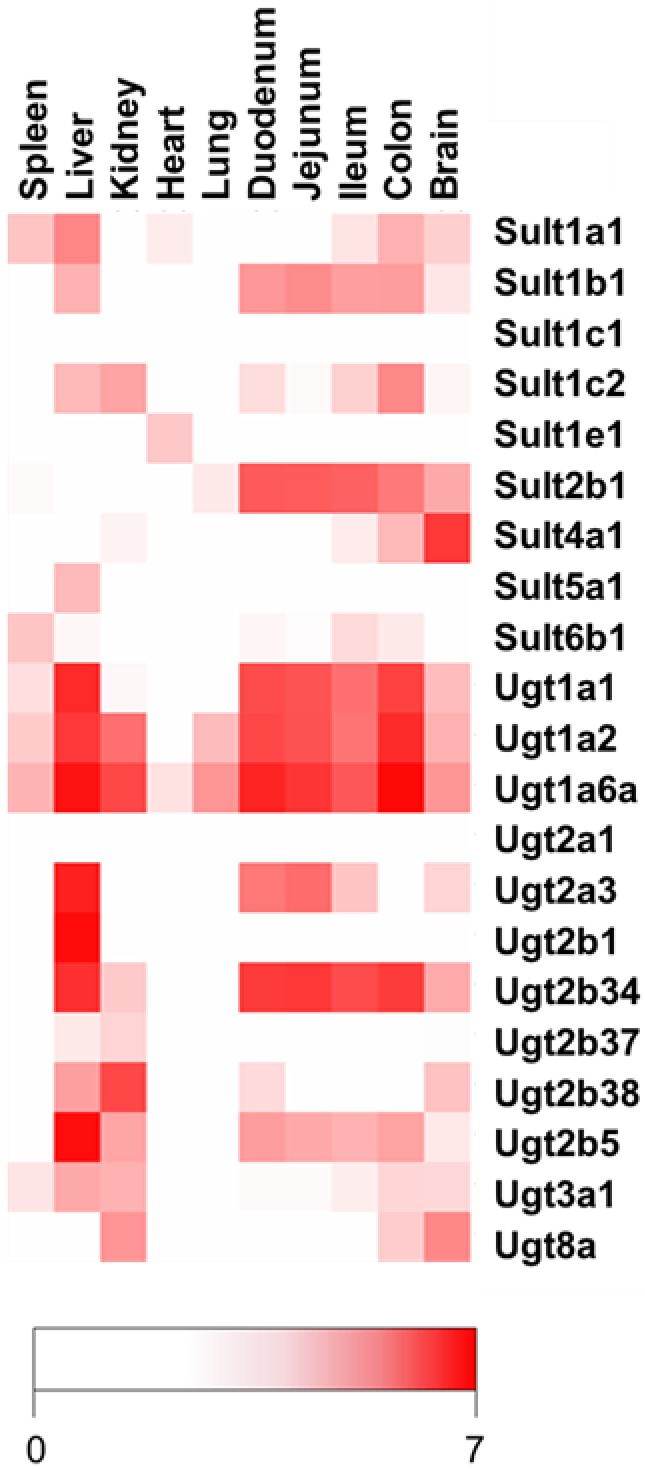 Figure 5