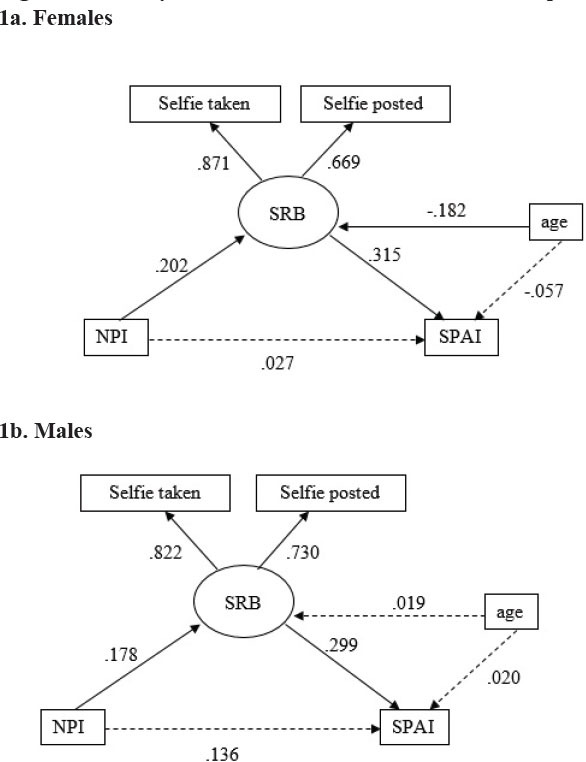 Figures 1 a/b.