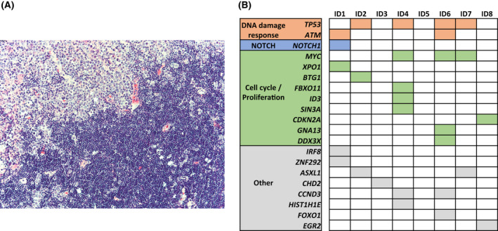 FIGURE 1