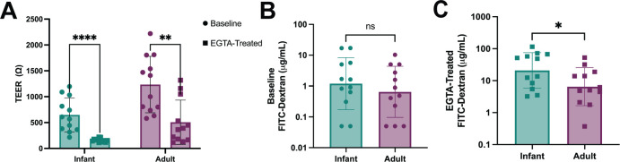 An illustration depicts TEER at baseline and changes after EGTA treatment, FITC-dextran permeability at baseline and post-treatment, comparing infants and adults.