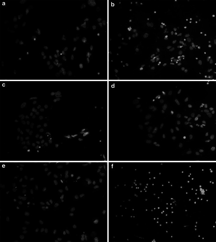 Fig. 7