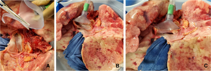 Fig. 6