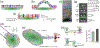 Figure 2 |