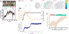 Figure 6 |