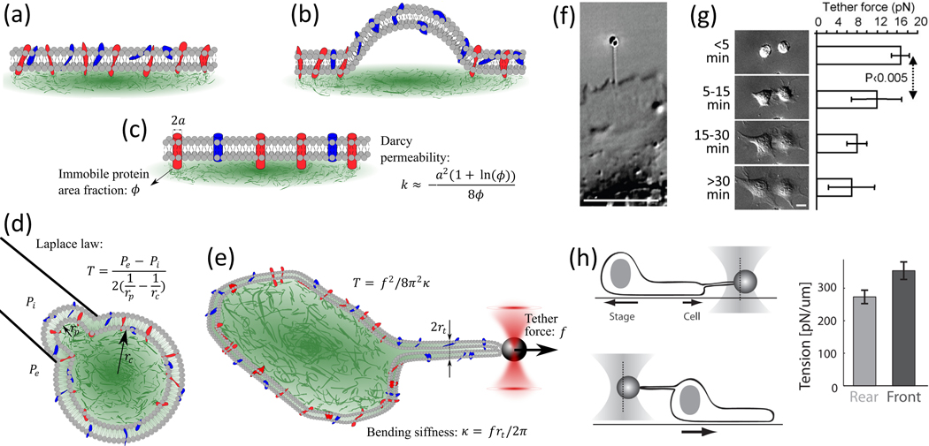 Figure 2 |