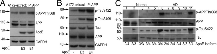 Fig. 6.