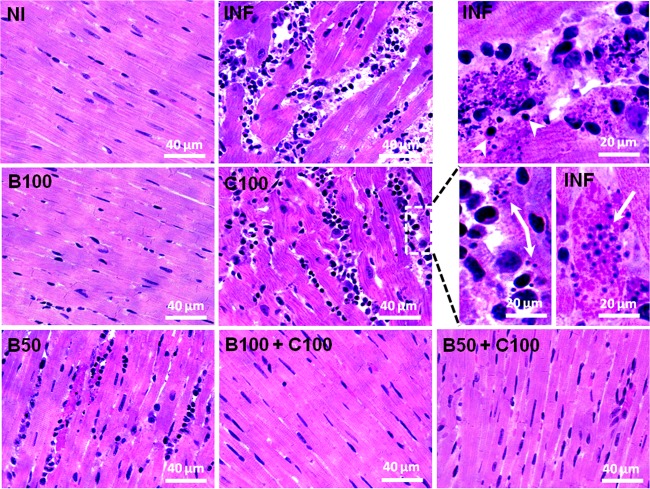 FIG 6