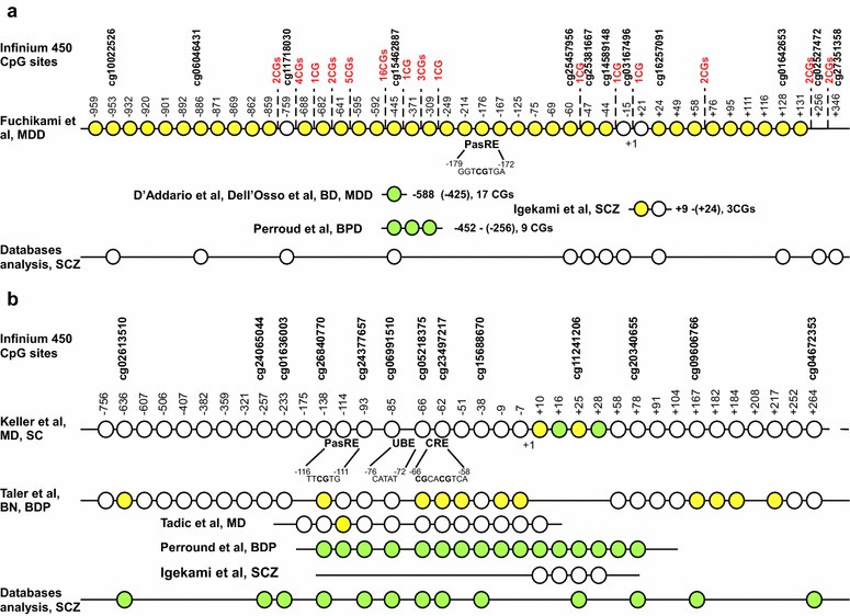 Fig. 1