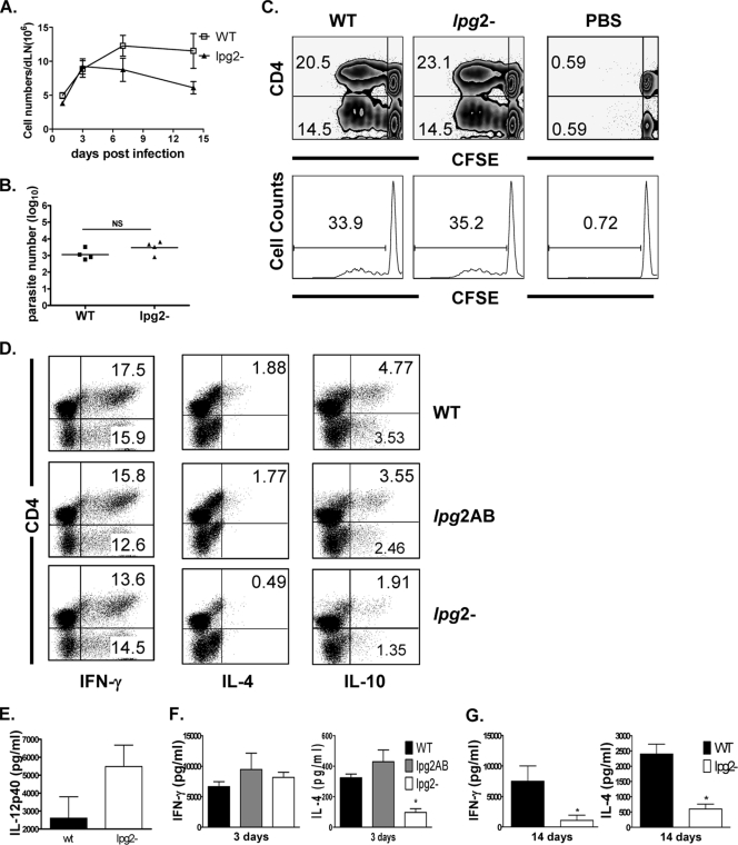 FIG. 4.