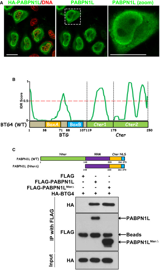 Figure EV3