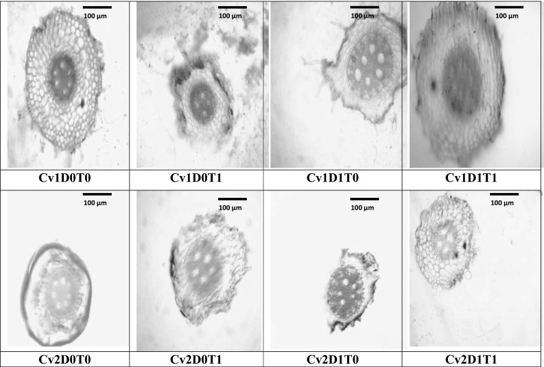 Fig. 6