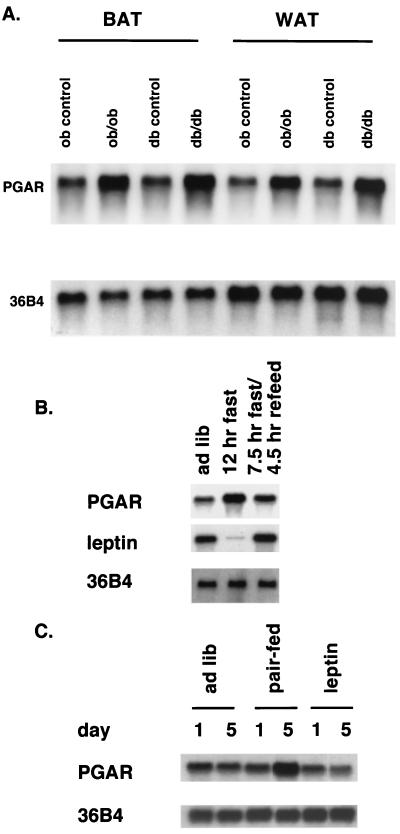 FIG. 7