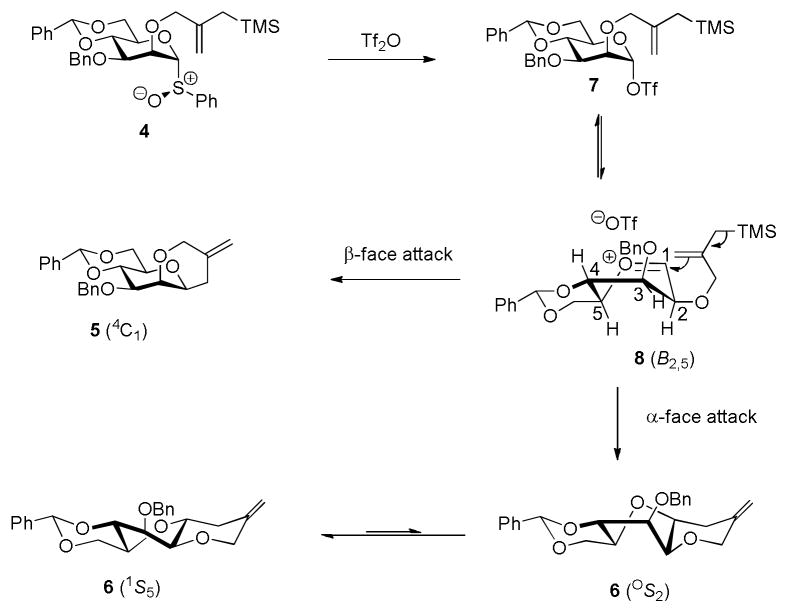 Scheme 2